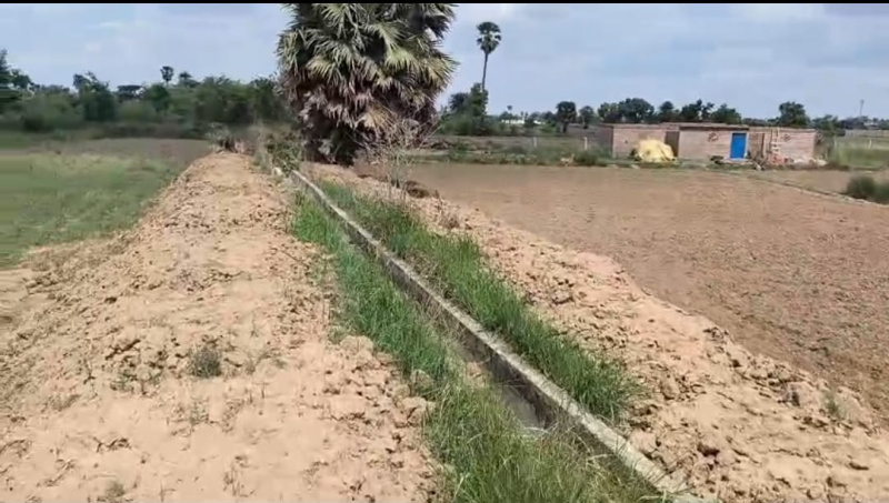  1200 Sq.ft. Residential Plot for Sale in Kanhauli, Bihta, Patna