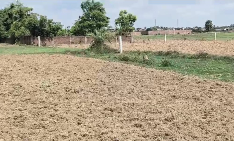  1200 Sq.ft. Residential Plot for Sale in Kanhauli, Bihta, Patna
