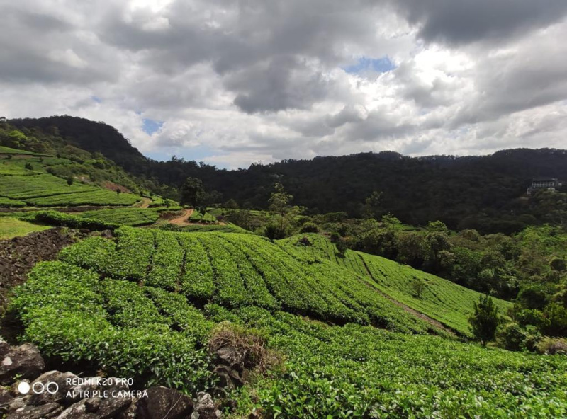  2 Acre Commercial Land for Sale in Munnar, Idukki