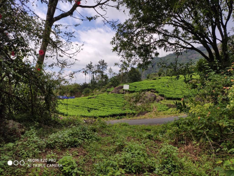  2 Acre Commercial Land for Sale in Munnar, Idukki