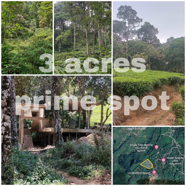  3 Acre Residential Plot for Sale in Munnar, Idukki