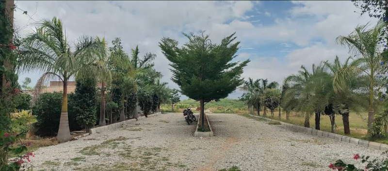  1200 Sq.ft. Residential Plot for Sale in Madhugiri, Tumkur