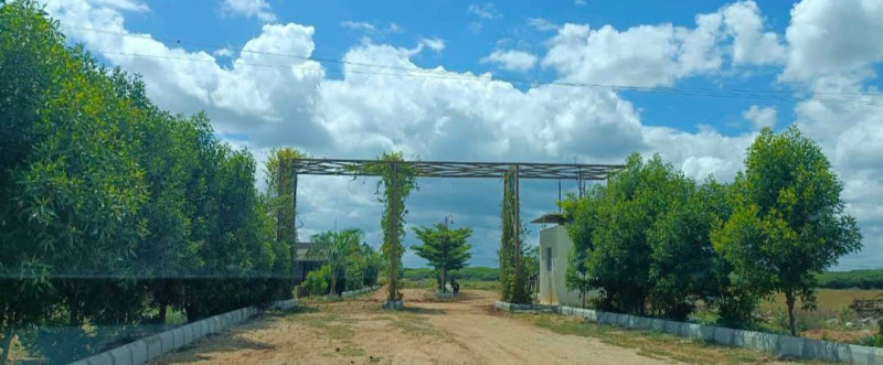  1200 Sq.ft. Residential Plot for Sale in Madhugiri, Tumkur