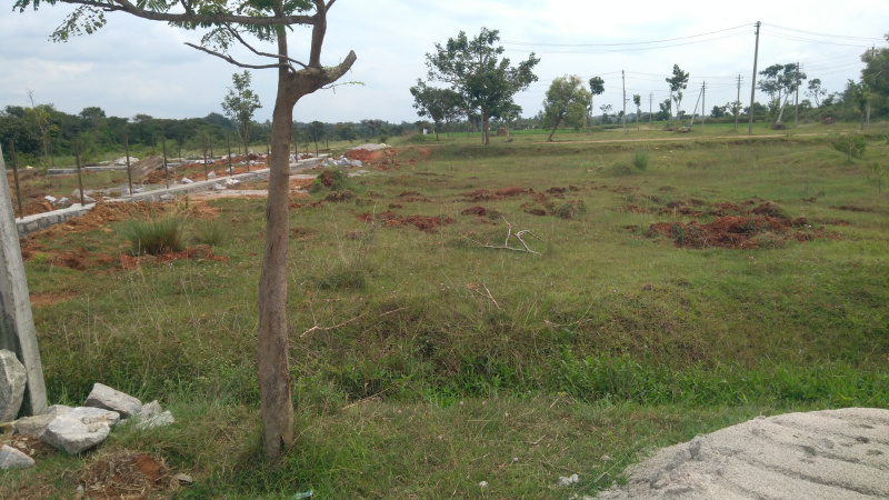 2471 Sq.ft. Residential Plot for Sale in JSS Layout, Mysore