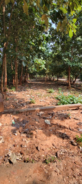  200 Sq. Yards Residential Plot for Sale in Chinnamusidivada, Visakhapatnam