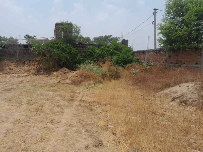  1965 Sq.ft. Residential Plot for Sale in Churamanpur, Buxar