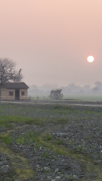  900 Sq.ft. Residential Plot for Sale in Bilaspur, Rampur