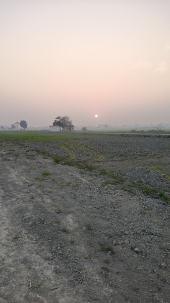  900 Sq.ft. Residential Plot for Sale in Bilaspur, Rampur