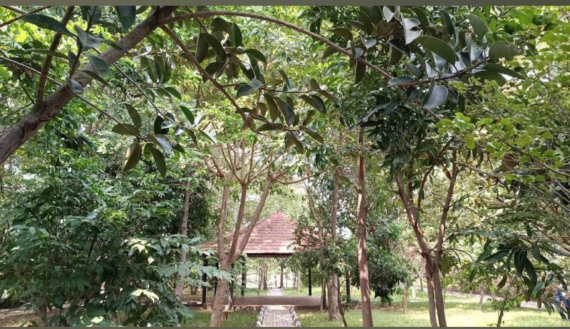  1200 Sq.ft. Residential Plot for Sale in Gauribidanur, Bangalore