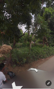  Residential Plot for Sale in Jakhan, Dehradun