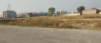  Residential Plot for Sale in Sector 115 Mohali