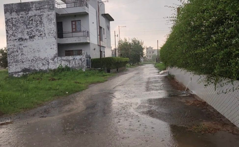  127 Sq. Yards Residential Plot for Sale in Sector 115 Mohali