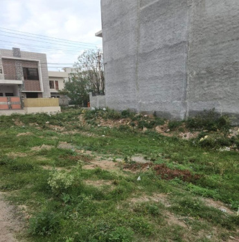  Residential Plot for Sale in Sector 115 Mohali