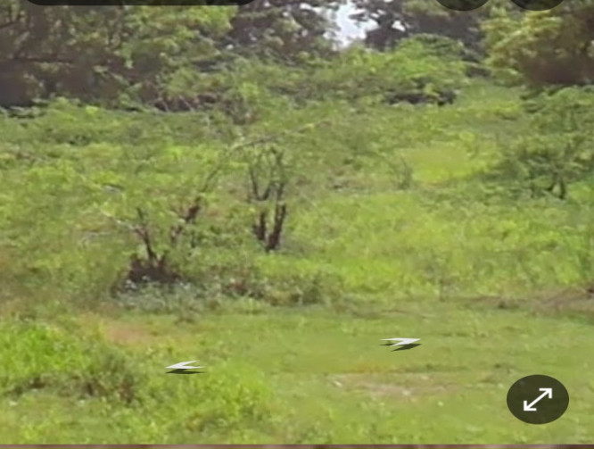  1500 Sq.ft. Residential Plot for Sale in Padapai, Chennai