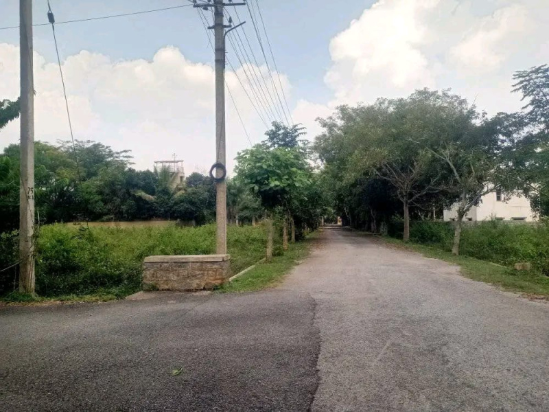  1200 Sq.ft. Residential Plot for Sale in Koppa Gate, Bangalore