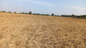 Residential Plot for Sale in Sominakoppa, Shimoga