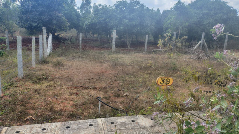  1200 Sq.ft. Residential Plot for Sale in Doddaballapur, Bangalore