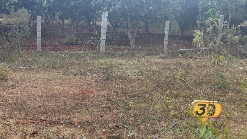  1200 Sq.ft. Residential Plot for Sale in Doddaballapur, Bangalore