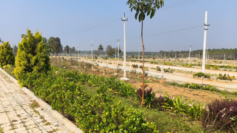  1200 Sq.ft. Residential Plot for Sale in Gauribidanur, Bangalore