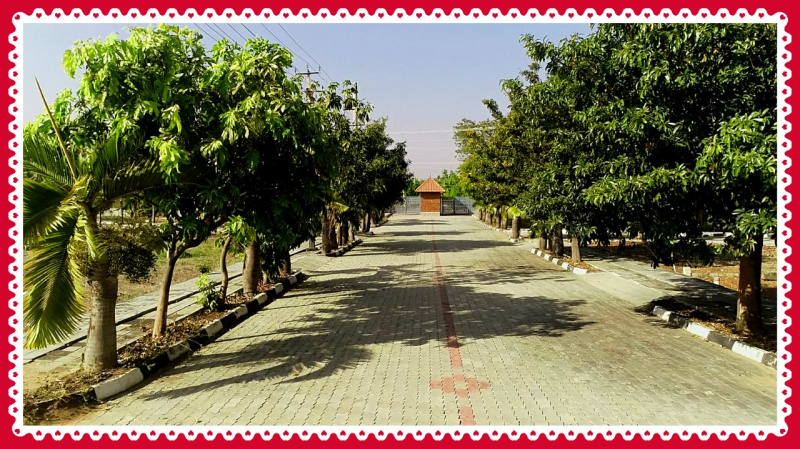  1200 Sq.ft. Residential Plot for Sale in Gauribidanur, Bangalore