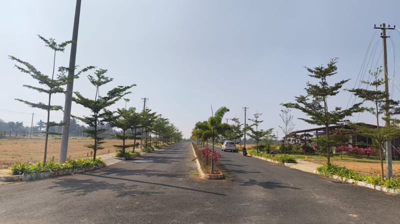  1500 Sq.ft. Residential Plot for Sale in Channarayapatna, Hassan