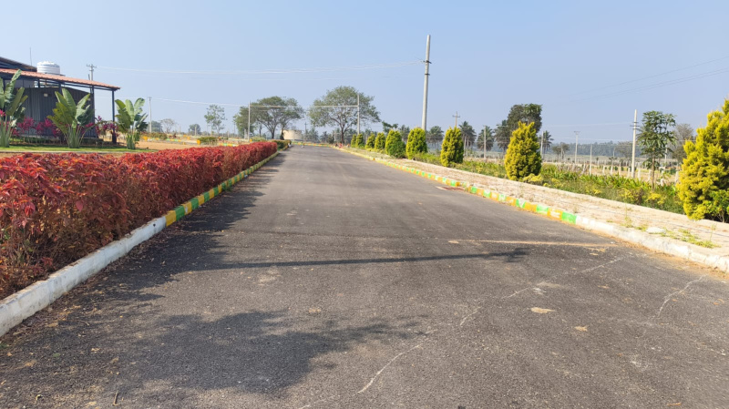  1500 Sq.ft. Residential Plot for Sale in Channarayapatna, Hassan