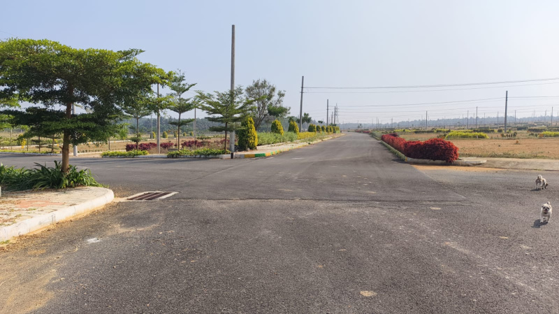  2400 Sq.ft. Residential Plot for Sale in Channarayapatna, Hassan