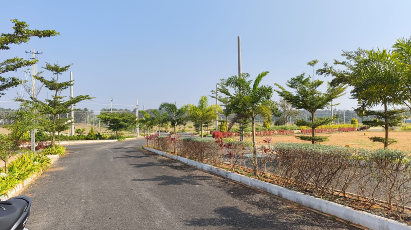  2400 Sq.ft. Residential Plot for Sale in Channarayapatna, Hassan