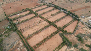 Residential Plot for Sale in Gauribidanur, Chikkaballapur, Bangalore