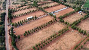 Residential Plot for Sale in Gowribidanur, ChikBallapur