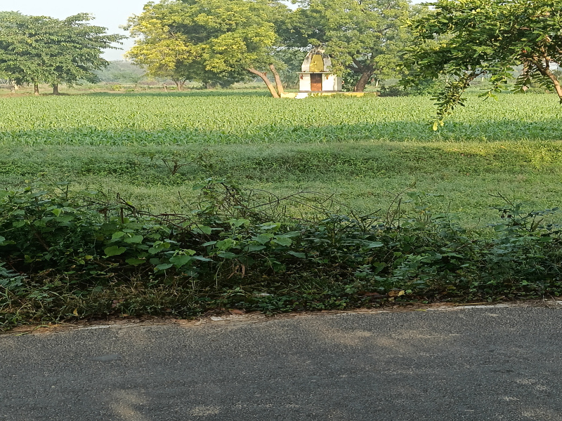  231 Guntha Agricultural/Farm Land for Sale in Hariyala, Kheda