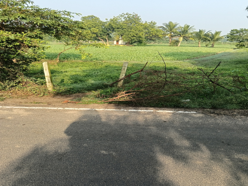  231 Guntha Agricultural/Farm Land for Sale in Hariyala, Kheda
