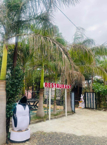 2 BHK 1200 Sq.ft. Farm House for Sale in Hudkeshwar Road, Nagpur