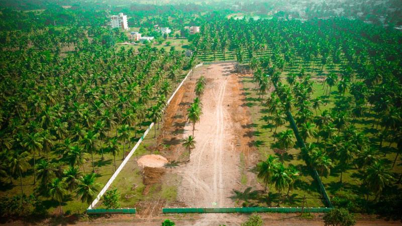  166 Sq. Yards Residential Plot for Sale in Rajanagaram, Rajahmundry