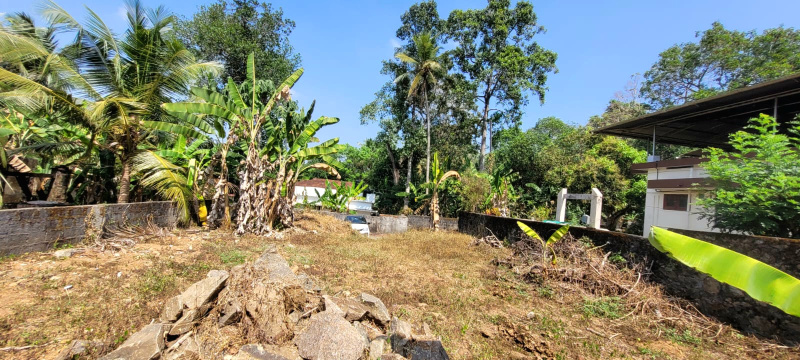  8 Cent Residential Plot for Sale in Kozhencherry, Pathanamthitta