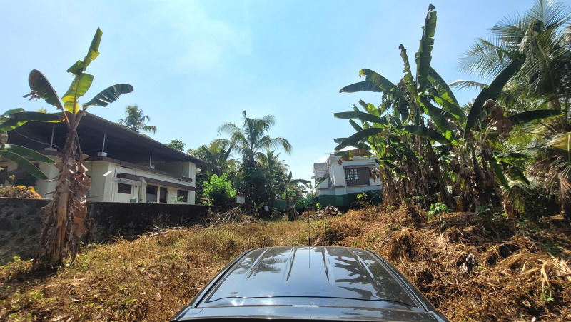  8 Cent Residential Plot for Sale in Kozhencherry, Pathanamthitta