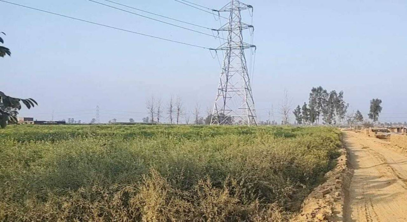  18 Bigha Agricultural/Farm Land for Sale in Bahjoi, Sambhal