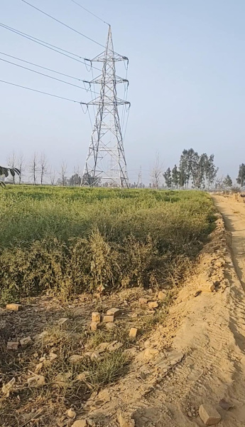  18 Bigha Agricultural/Farm Land for Sale in Bahjoi, Sambhal