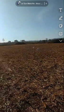  30 Guntha Agricultural/Farm Land for Sale in Doddaballapur, Bangalore