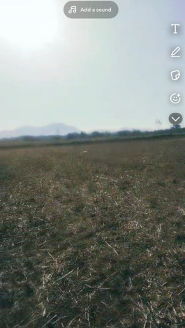  30 Guntha Agricultural/Farm Land for Sale in Doddaballapur, Bangalore