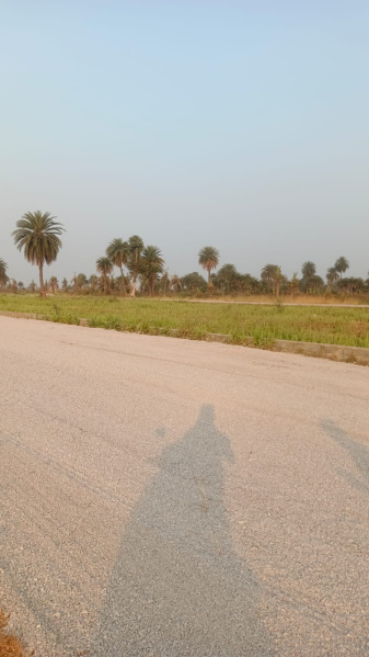  1000 Sq.ft. Residential Plot for Sale in Naya Raipur, Raipur