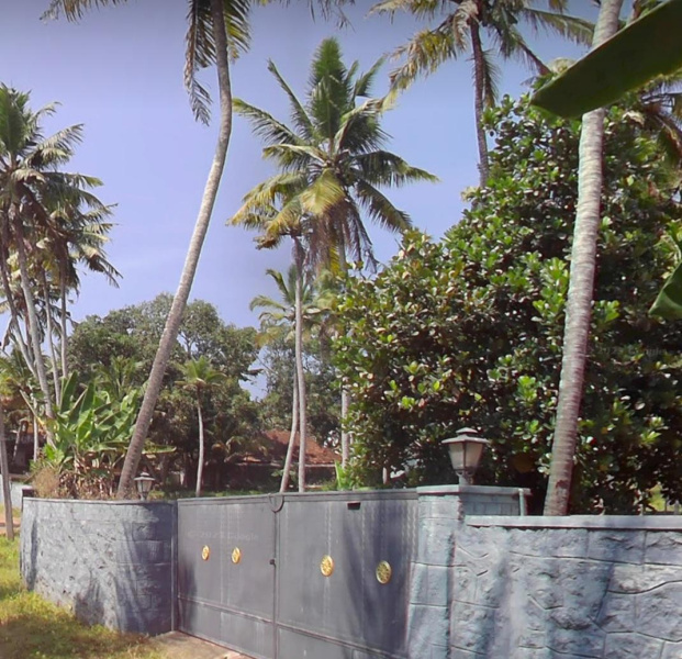 160 Cent Residential Plot for Sale in Karungal, Kanyakumari