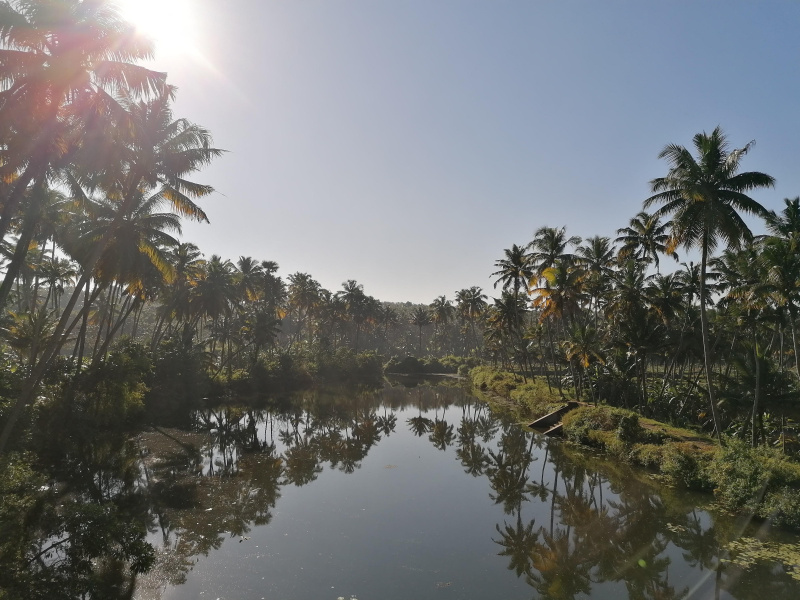  250 Cent Agricultural/Farm Land for Sale in Karungal, Kanyakumari