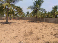  Residential Plot for Sale in Cheyyur, Chengalpattu