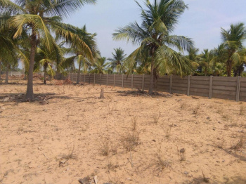 Residential Plot for Sale in Cheyyur, Chengalpattu