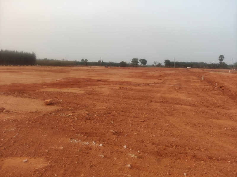 200 Sq. Yards Residential Plot for Sale in Bhogapuram, Vizianagaram