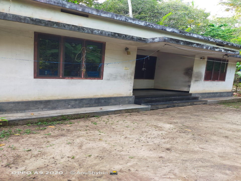 3 BHK 5662 Sq.ft. House for Sale in Kodungallur, Thrissur