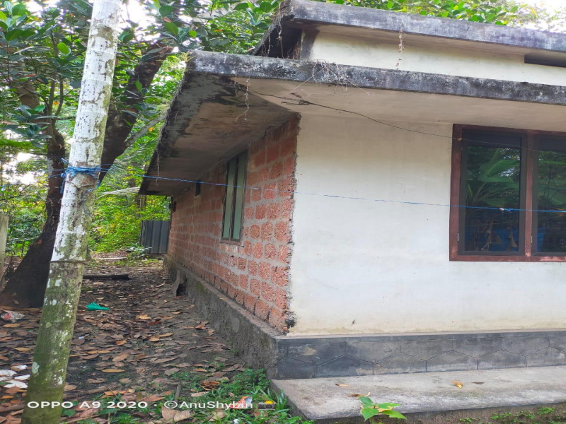 3 BHK 5662 Sq.ft. House for Sale in Kodungallur, Thrissur