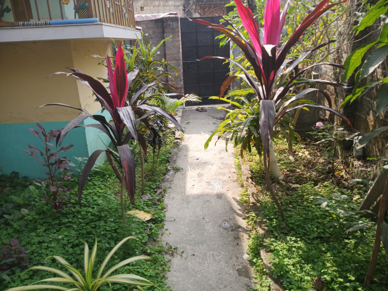 3 BHK 1540 Sq.ft. House for Sale in Krishnanagar, Nadia