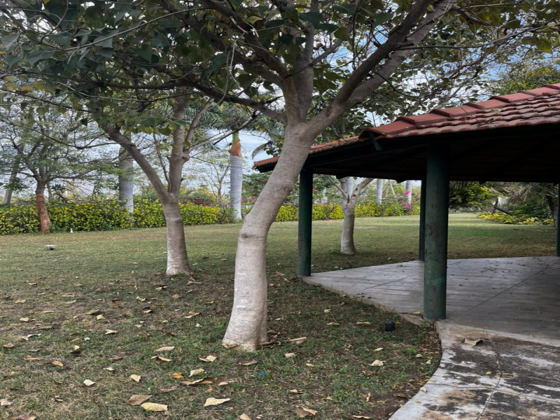  1299 Sq.ft. Commercial Land for Sale in Mulbagal, Kolar